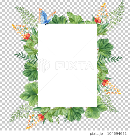 Cloudberry leaves and berries, green branches, yellow wildflowers, blue butterfly. Watercolor vertical summer forest frame isolated on white background. Hand drawn botanical illustration. Can be used 104694651