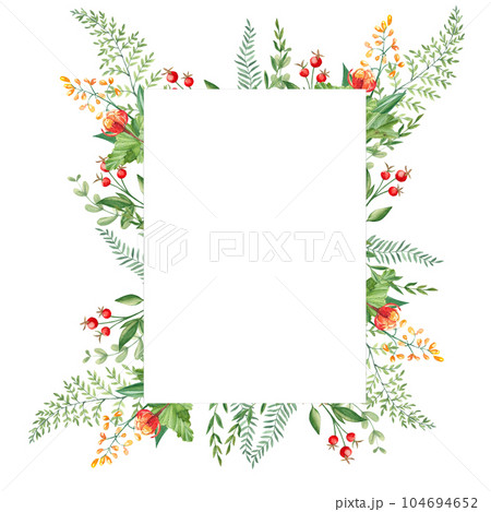 Watercolor forest frame with cloudberries, fern, green branches and red berries isolated on white background. Hand drawn botanical illustration. Can be used as invitation card, for birthday Watercolor forest frame with cloudberries, fern, green branches and red berries isolated on white background. Hand drawn botanical illustration. Can be used as invitation card, for birthday 104694652