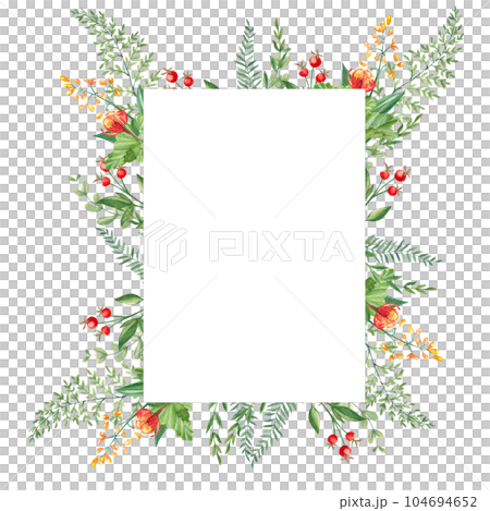 Watercolor forest frame with cloudberries, fern, green branches and red berries isolated on white background. Hand drawn botanical illustration. Can be used as invitation card, for birthday Watercolor forest frame with cloudberries, fern, green branches and red berries isolated on white background. Hand drawn botanical illustration. Can be used as invitation card, for birthday 104694652