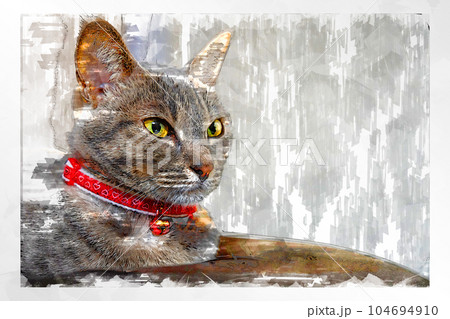 スケッチ風 猫 ネコ ねこ キジトラ グレー 雌 メス 雌ねこ 雌ネコ 元気 かわいい 癒し スケッチ風 猫 ネコ ねこ キジトラ グレー 雌 メス 雌ねこ 雌ネコ 元気 かわいい 癒し 104694910