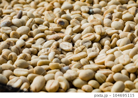 Coffee Beans Dried Coffee Beans Dried 104695115