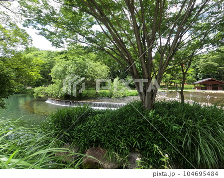岐阜県 河川環境楽園 木曽川水園 岐阜県 河川環境楽園 木曽川水園 104695484