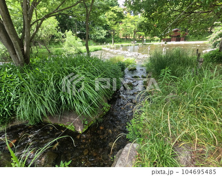 岐阜県　河川環境楽園　木曽川水園 104695485