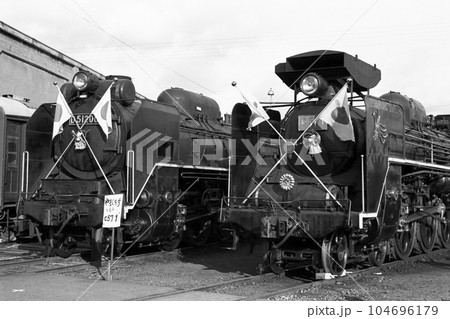 鉄道D51 限定Suica