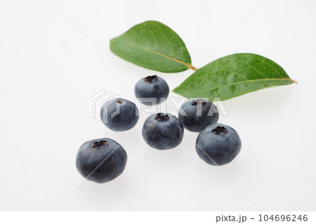 ブルーベリー　　白バック 104696246