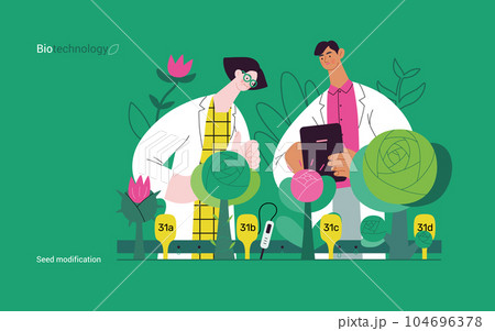 Bio Technology, Seed Modification -modern flat vector concept illustration of scientists analysing genetic modificated variants of a plant. Metaphor of direct impact of GMO on vegetation Bio Technology, Seed Modification -modern flat vector concept illustration of scientists analysing genetic modificated variants of a plant. Metaphor of direct impact of GMO on vegetation 104696378