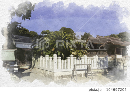 水彩画風　室津　賀茂神社　賀茂神社のソテツ　兵庫県たつの市御津町 104697205