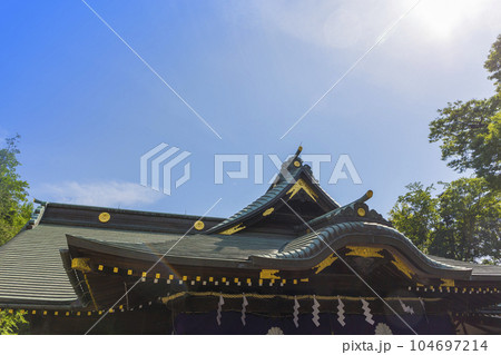 大國魂神社　随神門 　神社仏閣　陽射し　扉　ずいじんもん 104697214
