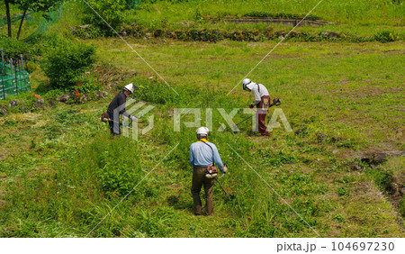 耕作放棄地の草刈りをする作業者たち 耕作放棄地の草刈りをする作業者たち 104697230