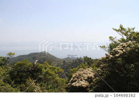 安芸国宮島の初夏の一日 安芸国宮島の初夏の一日 104698162
