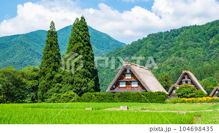 夏の白川郷 夏の白川郷 104698435