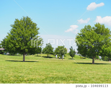 東伏見公園 104699113