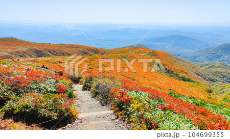 秋の栗駒山登山（中央コースからの眺め） 104699355