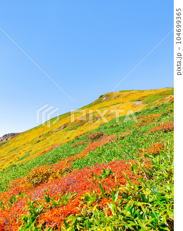 秋の栗駒山登山(中央コースから望む山頂) 秋の栗駒山登山(中央コースから望む山頂) 104699365