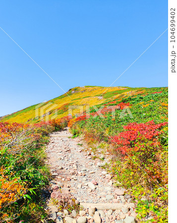 秋の栗駒山登山（中央コースから望む山頂） 104699402