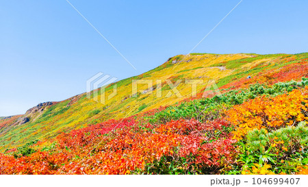 秋の栗駒山登山（中央コースから望む山頂） 104699407