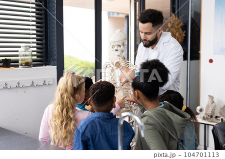 Diverse male teacher and elementary schoolchildren studying skeleton in biology class Diverse male teacher and elementary schoolchildren studying skeleton in biology class 104701113