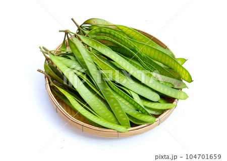 Leucaena leucocephala fruit on white background 104701659