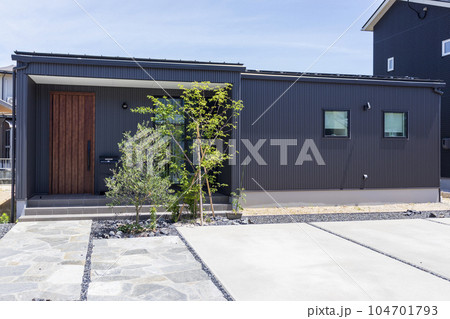平屋建ての住宅とシンボルツリー 104701793