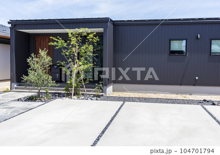 平屋建ての住宅とシンボルツリー 104701794