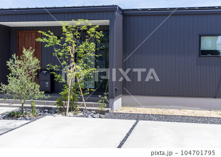 平屋建ての住宅とシンボルツリー 104701795