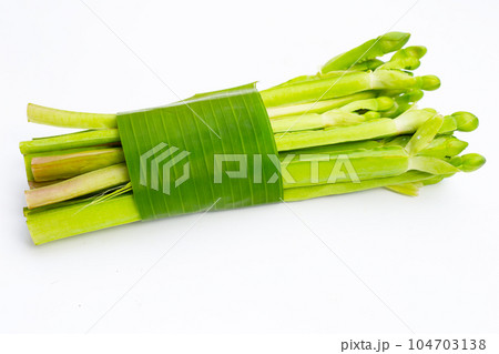 Limnocharis flava on white background. 104703138