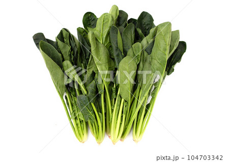 Fresh spinach on white background Fresh spinach on white background 104703342