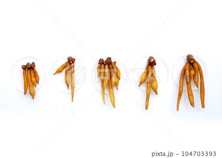 Fingerroot on a white background. 104703393
