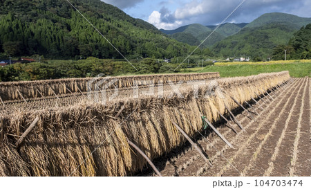 稲掛のある風景 稲掛のある風景 104703474