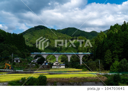 BRTに改装中の宝珠山橋梁　日田彦山線 104703641