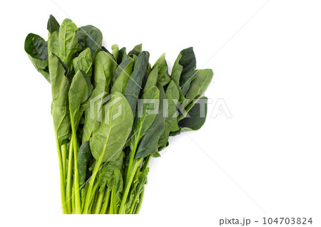 Fresh spinach on white background Fresh spinach on white background 104703824