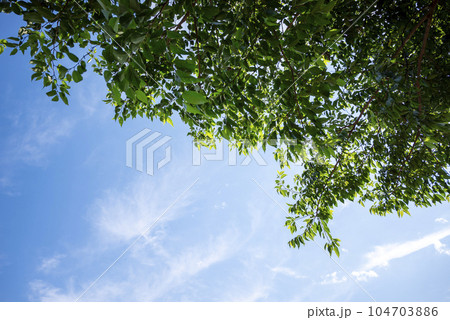 爽やかな夏の空 森 山の風景 イメージ 104703886