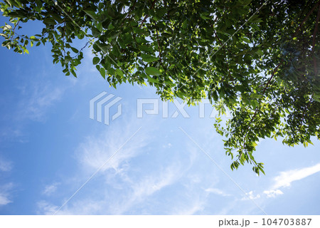 爽やかな夏の空 森 山の風景 イメージ 爽やかな夏の空 森 山の風景 イメージ 104703887
