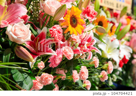 開店祝いの花 開店祝いの花 104704421