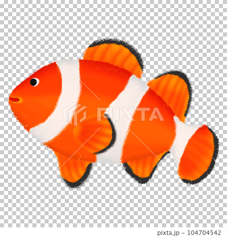 Nemo fish in the sea 104704542