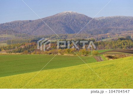 秋晴れの美瑛風景 104704547