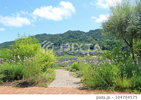 安曇野 池田町ハーブステーション　花とハーブのガーデン 104704575