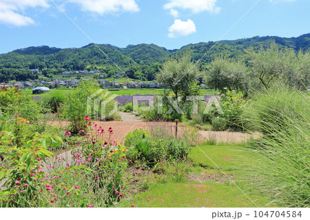 安曇野 池田町ハーブステーション 花とハーブのガーデン 安曇野 池田町ハーブステーション 花とハーブのガーデン 104704584
