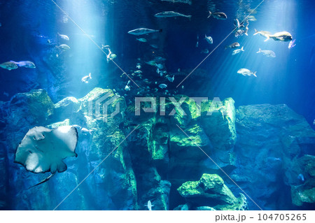 素材　大きな水槽 104705265