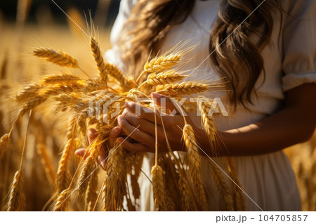 Woman holds an ear of golden wheat. Rural scene. Generative AI 104705857