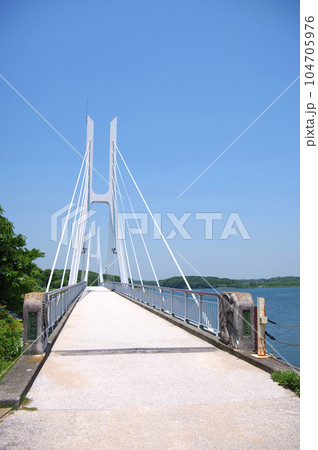山口県宇部市の人気観光観光スポットときわ公園白鳥大橋 山口県宇部市の人気観光観光スポットときわ公園白鳥大橋 104705976