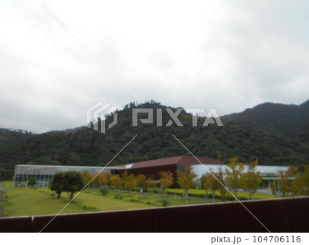 島根県立古代出雲歴史博物館その12 104706116