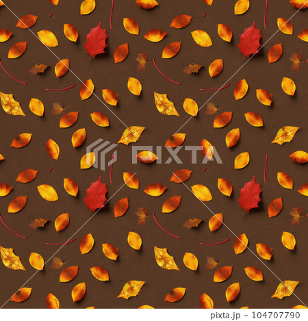 無限タイル／散りばめられた落葉の彩　3 104707790