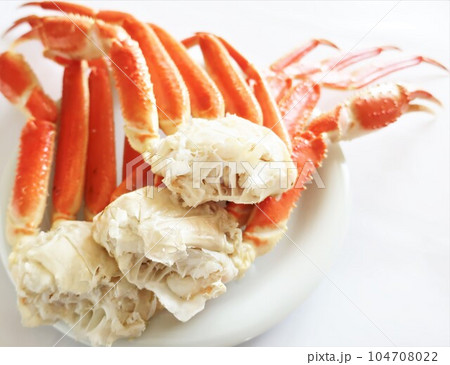 ズワイガニの足 ズワイガニの足 104708022