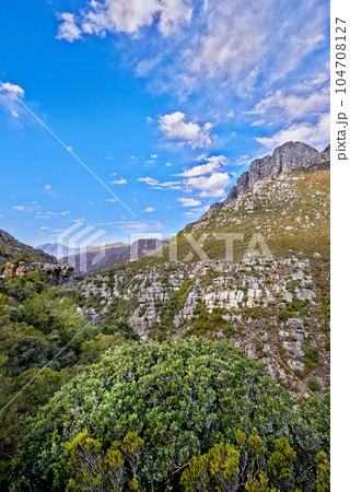 Copy space with mountain landscape against a cloudy blue sky background in Cape Town. Beautiful and calm scenic of lush green plants and trees around a majestic rocky valley on a sunny day in nature 104708127