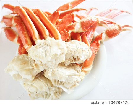 ズワイガニの足 104708520