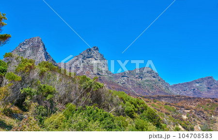 Plants and trees in nature with a mountain background against blue sky in summer. Scenic popular natural landmark and tourist attraction for adventure while on a getaway vacation with copyspace Plants and trees in nature with a mountain background against blue sky in summer. Scenic popular natural landmark and tourist attraction for adventure while on a getaway vacation with copyspace 104708583