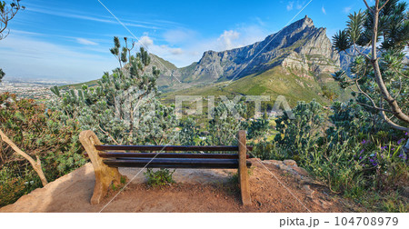 Bench with relaxing, soothing views at the top of table Mountain with a scene of Lions Head against a blue sky. Lush green trees and bushes surrounding a quiet spot to rest and view beauty in nature Bench with relaxing, soothing views at the top of table Mountain with a scene of Lions Head against a blue sky. Lush green trees and bushes surrounding a quiet spot to rest and view beauty in nature 104708979
