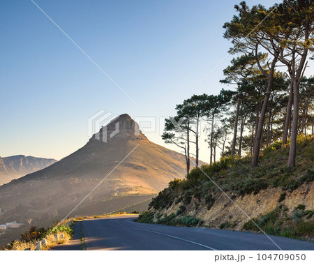 Beautiful view of mountain named Lions Head on sunny Summer day. Nature around includes green trees ahead with road beside to enjoy drives. Area is in Cape Town in the Western Cape of South Africa. Beautiful view of mountain named Lions Head on sunny Summer day. Nature around includes green trees ahead with road beside to enjoy drives. Area is in Cape Town in the Western Cape of South Africa. 104709050