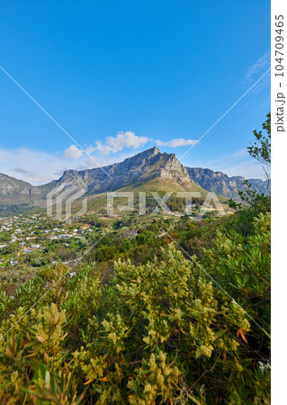 Landscape scenic view of plants, greenery, and vegetation growing on a mountain in nature against a blue sky in summer. Beautiful panoramic scenery of ecology in a natural environment with copyspace Landscape scenic view of plants, greenery, and vegetation growing on a mountain in nature against a blue sky in summer. Beautiful panoramic scenery of ecology in a natural environment with copyspace 104709465